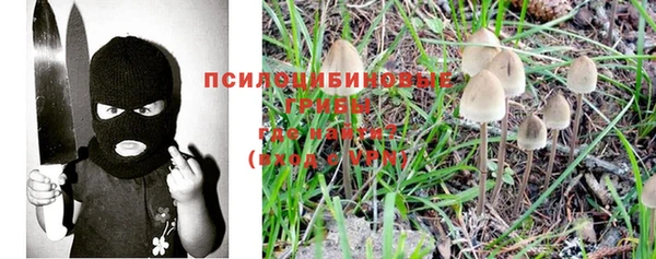 альфа пвп Беломорск