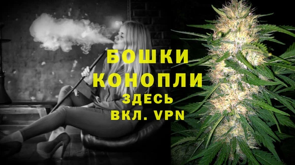 гидра Белокуриха