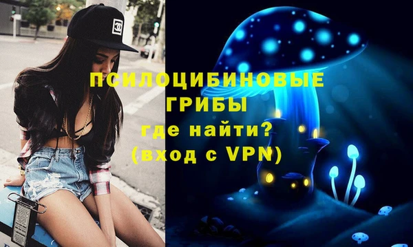 альфа пвп Беломорск