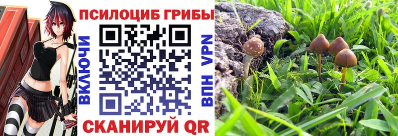 Галлюциногенные грибы Magic Shrooms  купить наркотик  Вуктыл 
